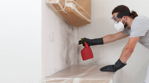 Professional Mold Testing technician working in Highland Park, IL